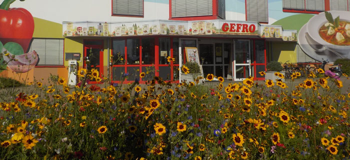 gefro_blumenwiese