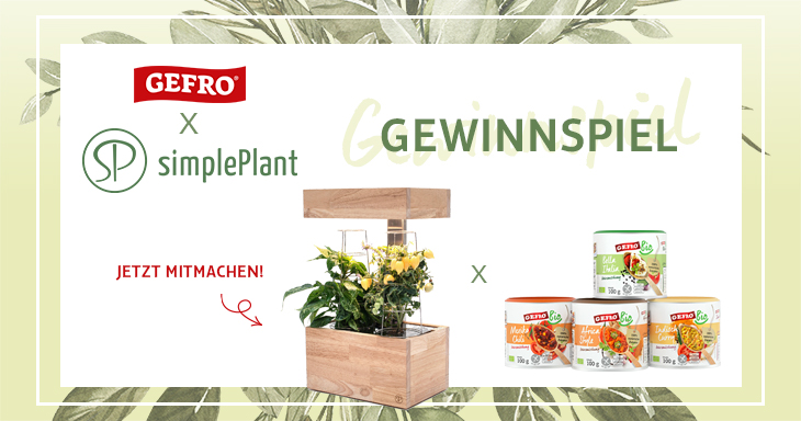 Gefro Gewinnspiel