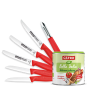Küchenfee Küchenmesser Set