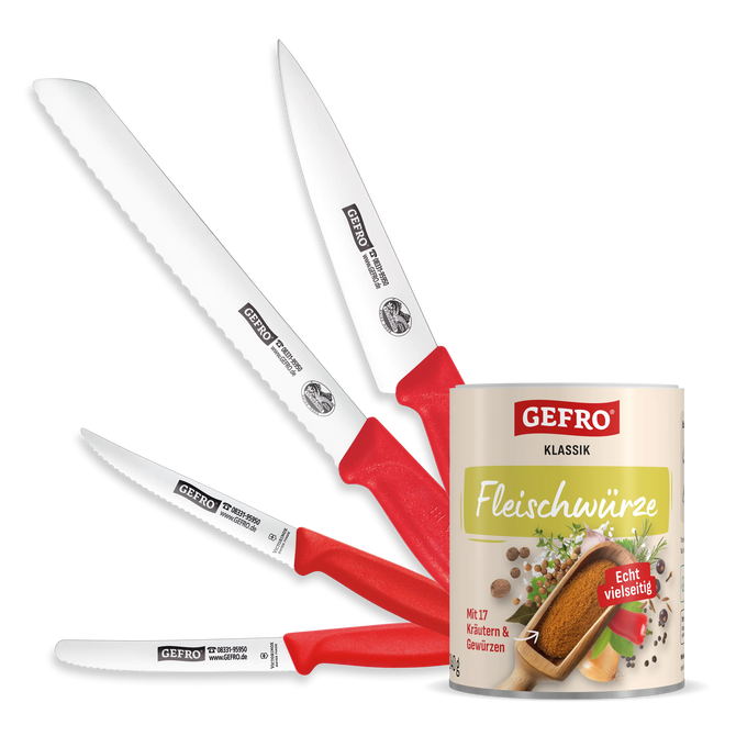 Profi-Koch Küchenmesser-Set