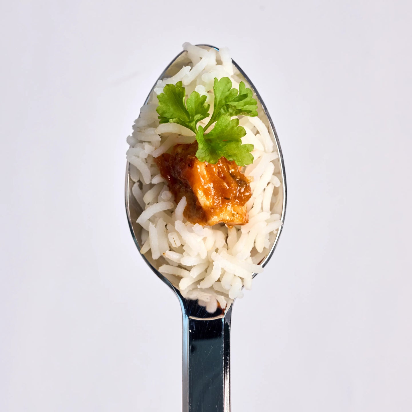Löffel mit weißem Reis, einem Stück in Sauce und frischem Koriander als appetitliche Nahaufnahme vor hellem Hintergrund