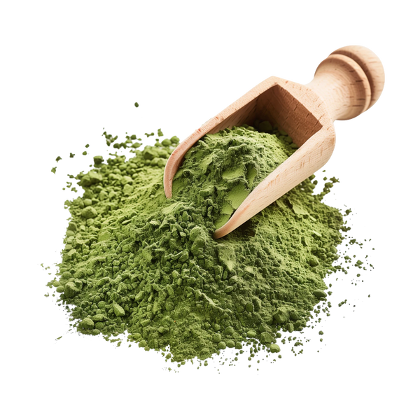 Chlorella