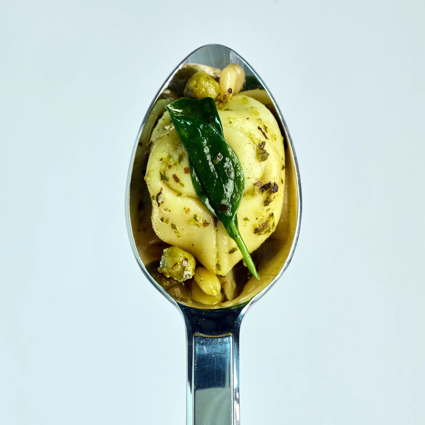 Löffel mit marinierten Tortellini, Kräutern und Blatt auf hellem Hintergrund, Nahaufnahme für Produktpräsentation