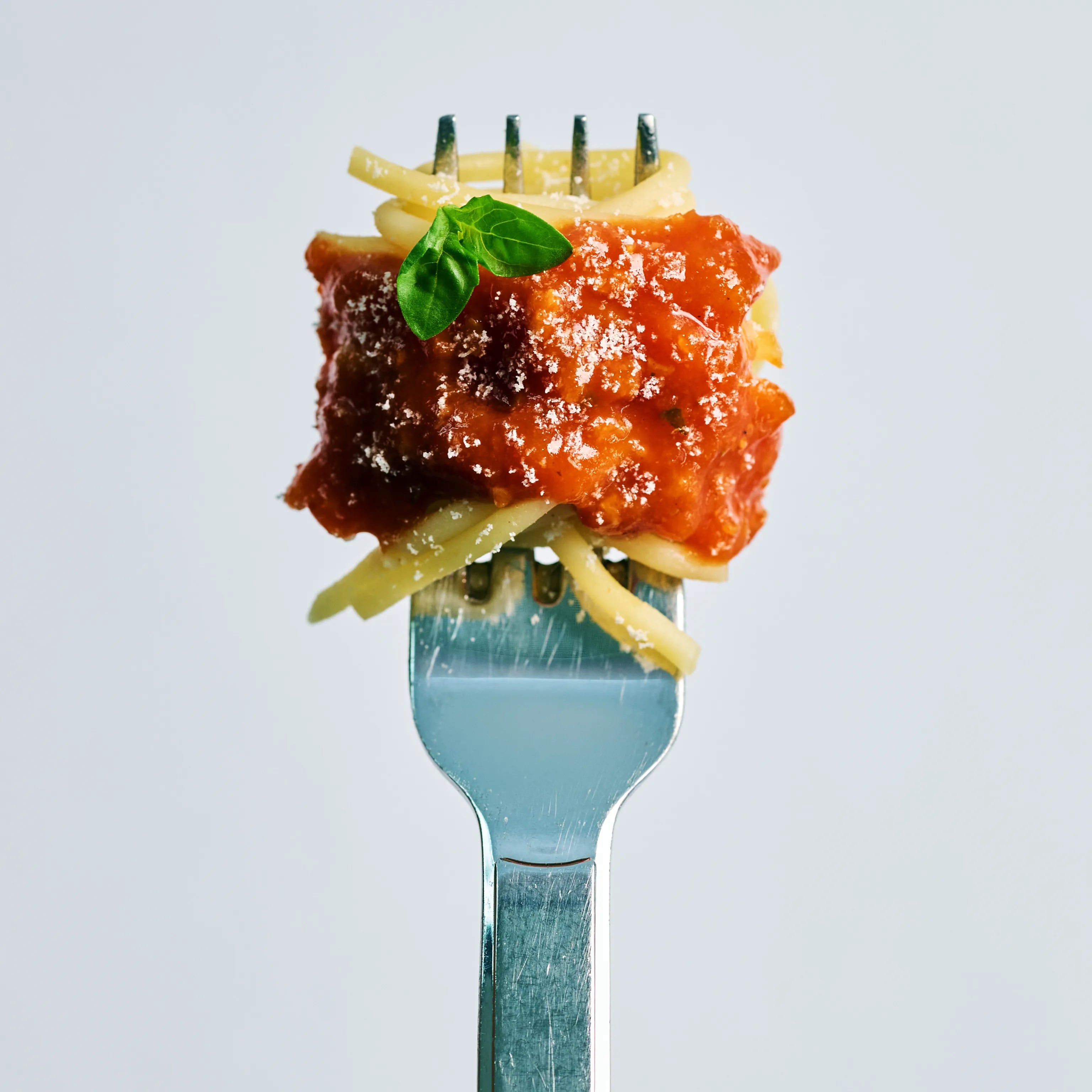 Gabel mit aufgedrehten Spaghetti, Tomatensauce, geriebenem Käse und Basilikum vor hellem Hintergrund