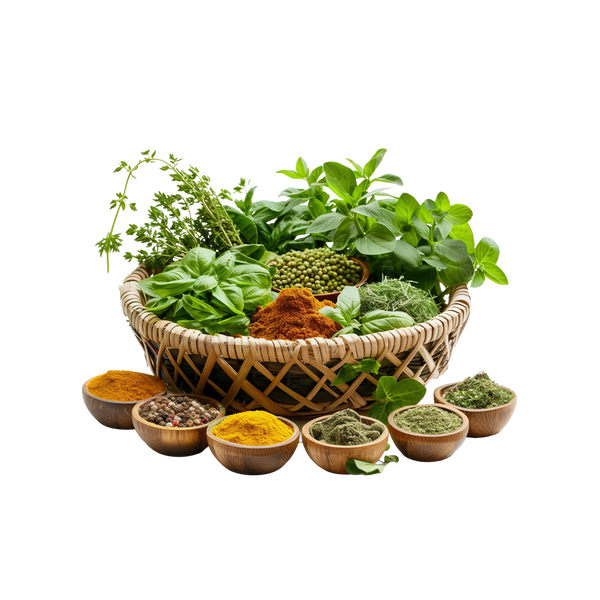 Kräuter, Gewürze & Gewürzextrakte