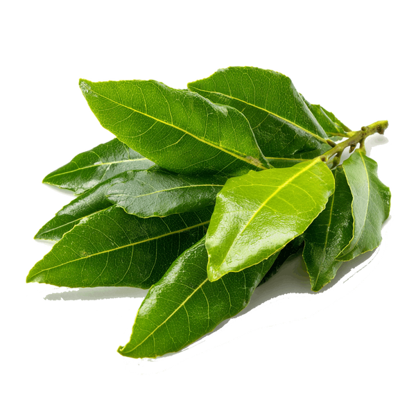 Lorbeerblätter