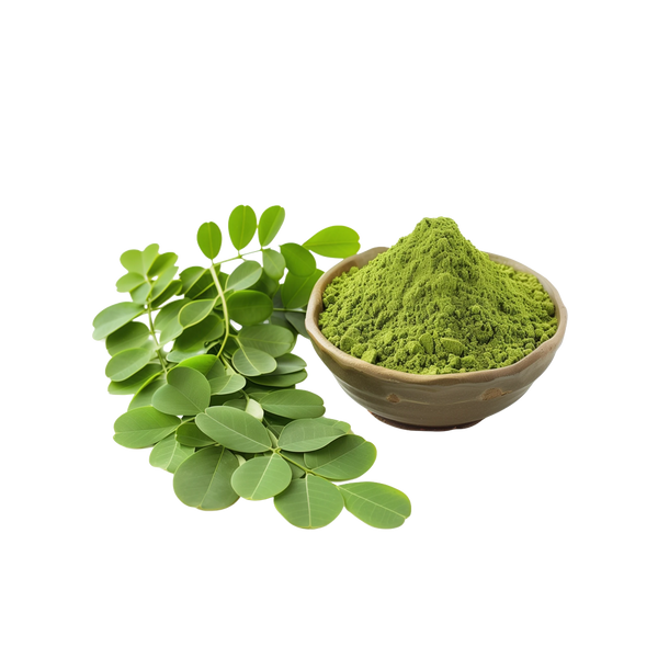 Moringabaum/-blätter