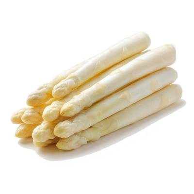 Mehrere geschälte weiße Spargelstangen, gebündelt und freigestellt, als Produktfoto für frisches Gemüse.