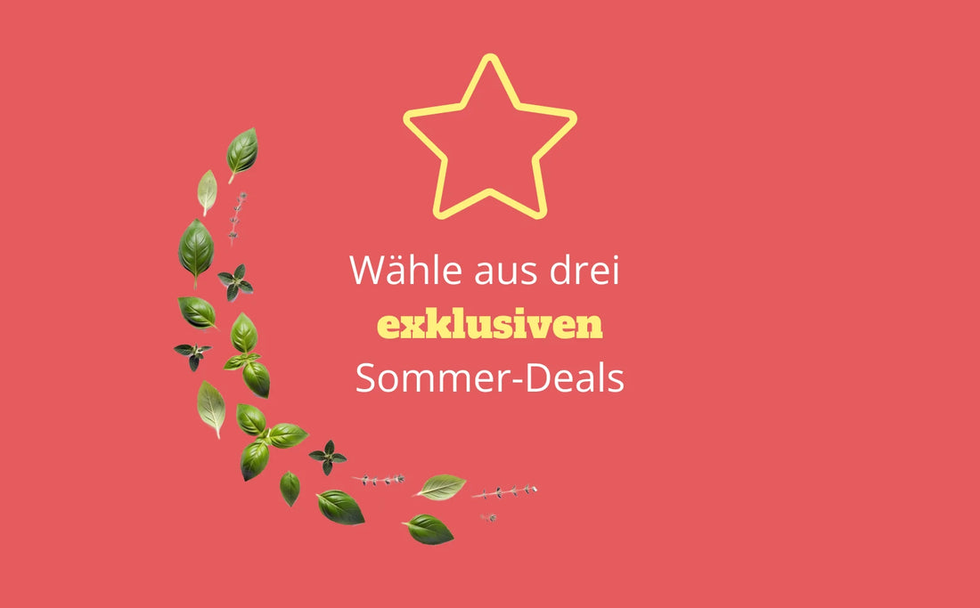 „Grafik mit Sternsymbol und dem Hinweis, aus drei exklusiven Sommer-Deals zu wählen, ergänzt durch dekorative Kräuterillustrationen.“