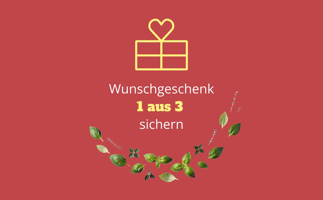 „Grafik mit Geschenk-Symbol und dem Hinweis, ein Wunschgeschenk aus drei Auswahlmöglichkeiten zu sichern, ergänzt durch dekorative Kräuterillustrationen.“