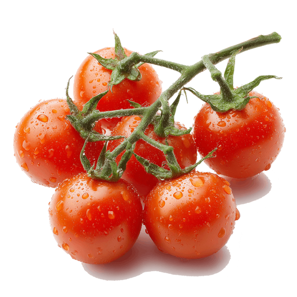 Tomaten