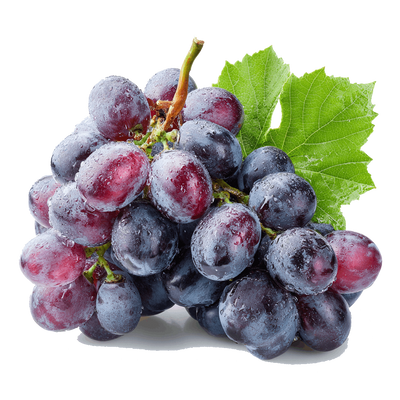 Frische rote und dunkelblaue Weintrauben mit Wassertropfen und grünem Blatt, freigestellt auf weißem Hintergrund