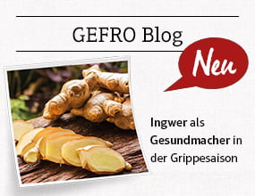GEFRO Blog