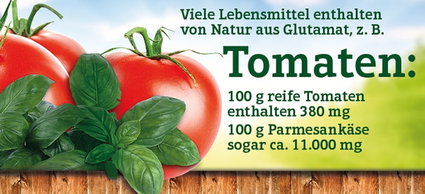 Geschmacksverstarker Natriumglutamat Gefro