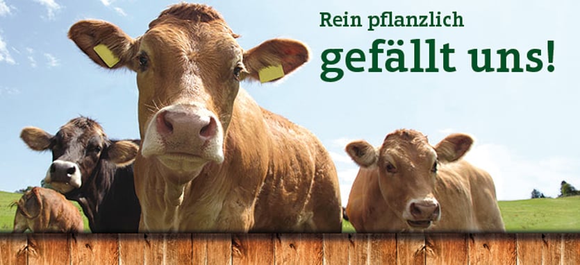 Was ist vegetarisch oder vegan?