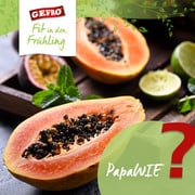 PapaWIE?