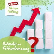 Blutzucker und Fettverbrennung?