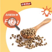 Zutaten im Fokus