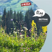 Kräuter und Gewürze – die Heilkraft aus der Natur