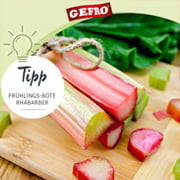 Tipp: Frühlings-Bote Rhabarber