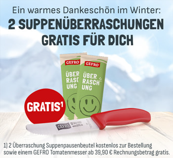 GEFRO Werbebanner vor winterlicher Gebirgslandschaft mit zwei grünen Überraschungs-Suppentüten und einem roten Tomatenmesser auf einem Holztisch. Text: „Winterzeit ist Probierzeit“ (oder „Jetzt sichern“), verspricht 2 Gratis-Suppen, ein Messer 