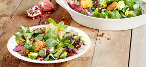 Herbstsalat mit gebackenen Haselnuss-Camembertecken