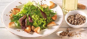 Knackiger Mesclin-Salat mit Croûtons