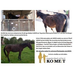 KoMeT e.V. 
