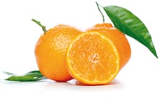 Orange (Vitamin C)