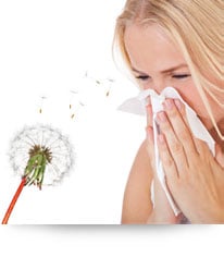 Allergie