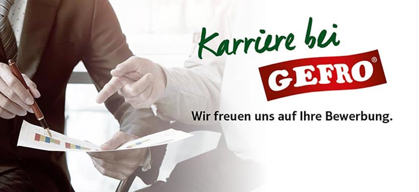 Karriere bei GEFRO