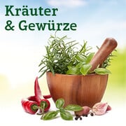 Kräuter & Gewürze