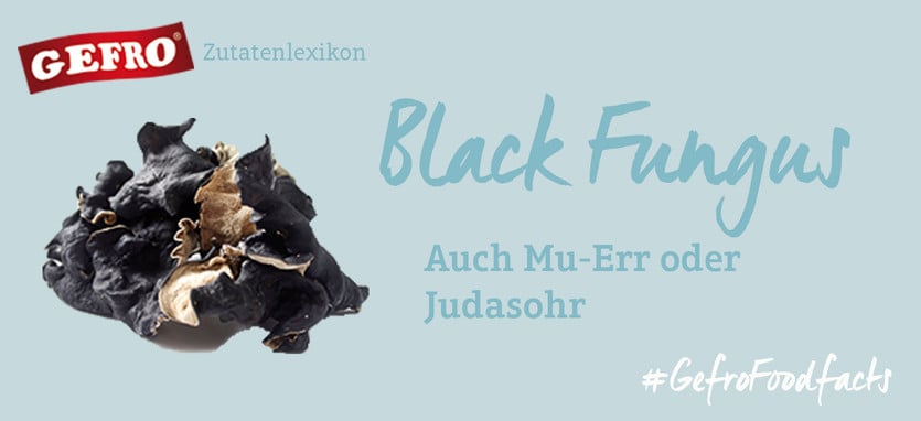 Black Fungus