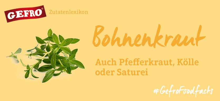 Bohnenkraut