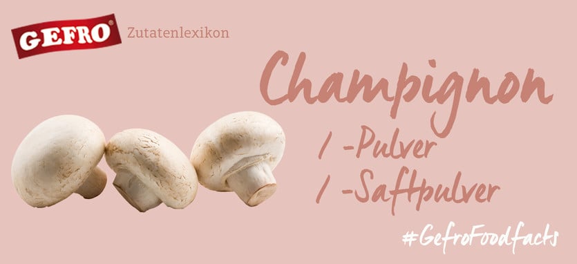 Champignon