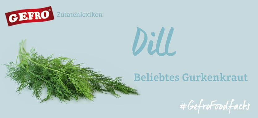 Dill