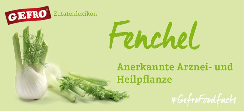 Fenchel