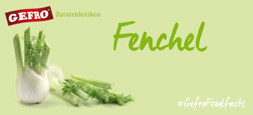 Fenchel