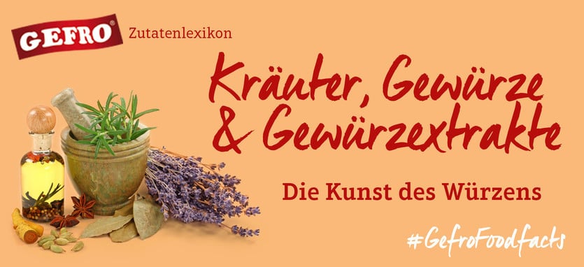 Kräuter, Gewürze, Gewürzextrakte