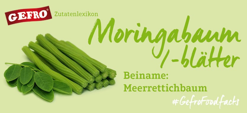 Moringabaumblätter