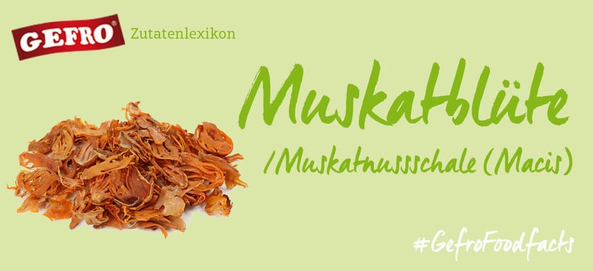 Muskatblüte