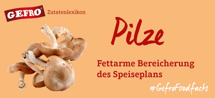 Pilze