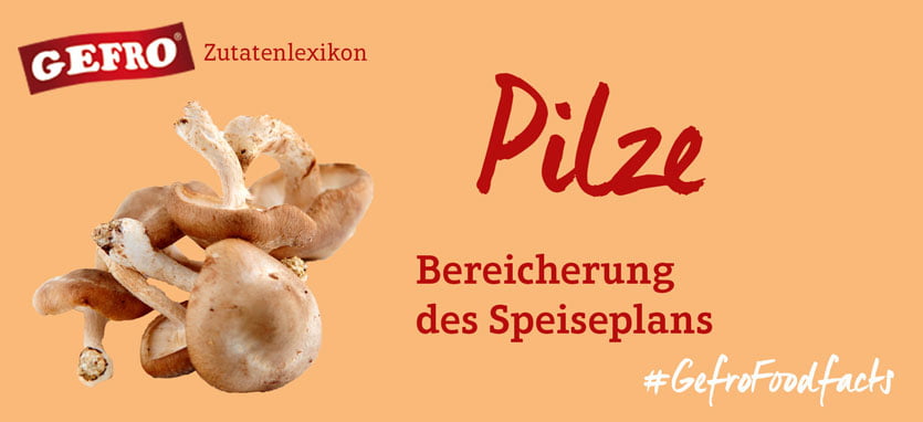 Pilze