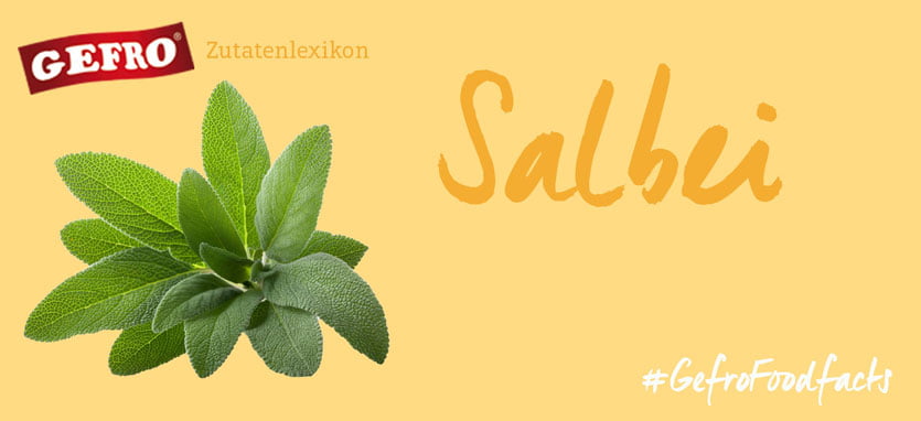 Salbei