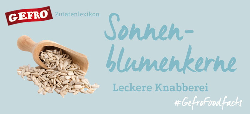 Sonnenblumenkerne