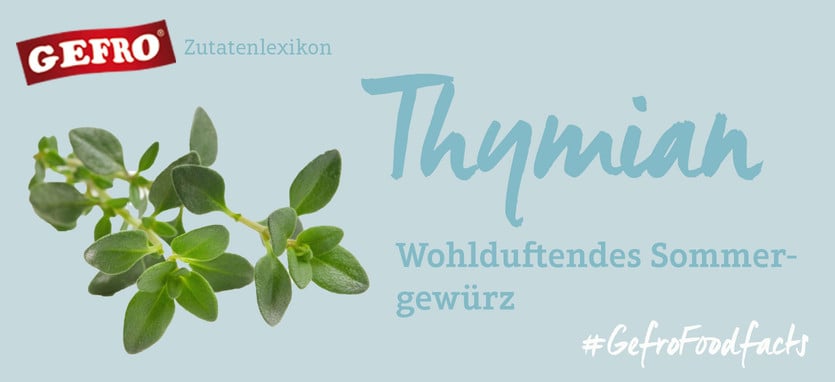 Thymian